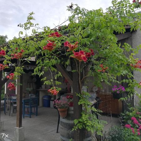Le Coq En Pate Bed and Breakfast Romilly-sur-Seine Exteriör bild