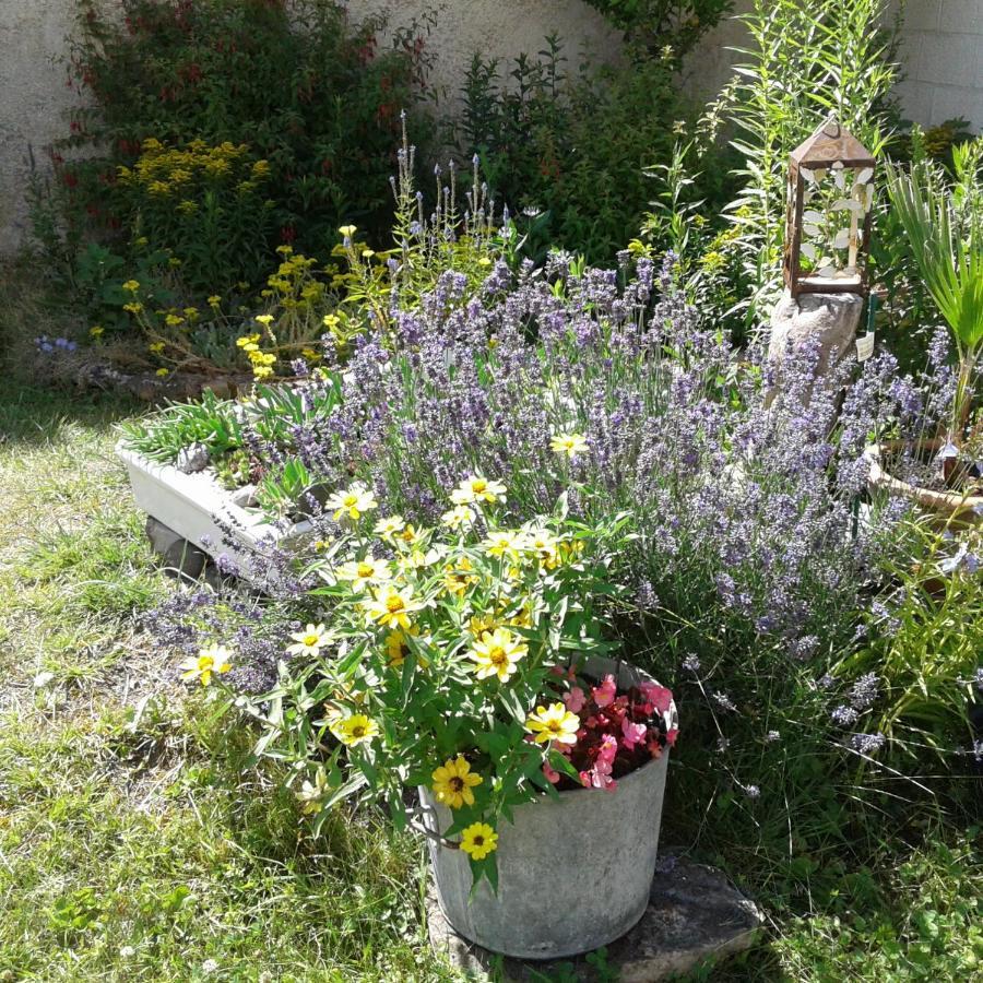 Le Coq En Pate Bed and Breakfast Romilly-sur-Seine Exteriör bild